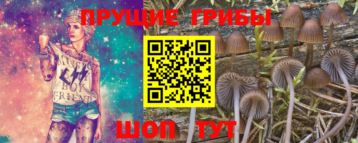 Псилоцибиновые грибы мицелий  Вход с VPN  Глазов 