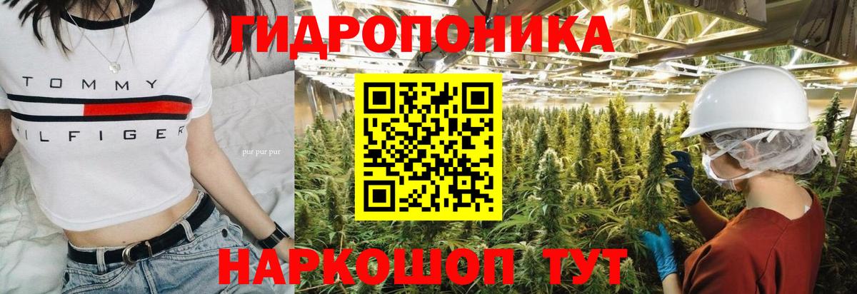 Канабис ГИДРОПОН Глазов